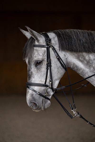 HFI Gogue Hulpteugels - Maddelin Equestrian HFI