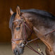 HFI Gogue Hulpteugels - Maddelin Equestrian HFI