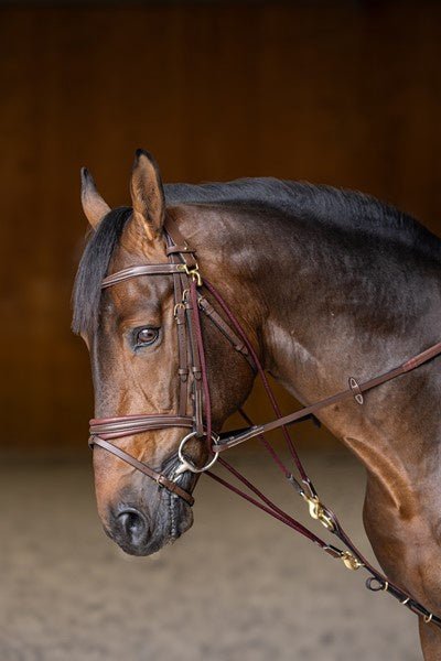 HFI Gogue Hulpteugels - Maddelin Equestrian HFI