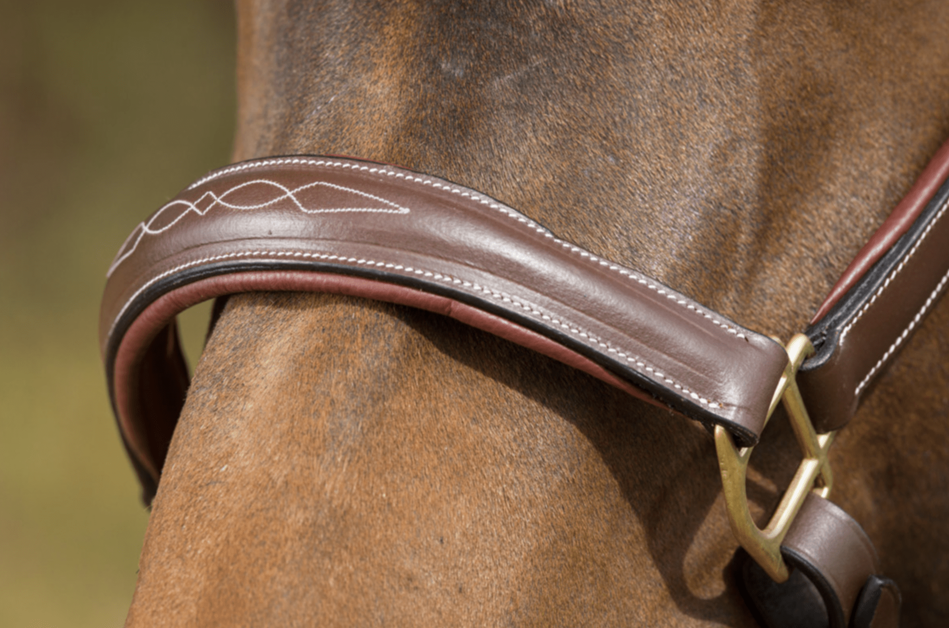 HFI Grooming Halster Lederen - Maddelin Equestrian HFI