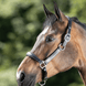 HFI Grooming Halster Lederen - Maddelin Equestrian HFI