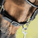 HFI Grooming Halster Lederen - Maddelin Equestrian HFI