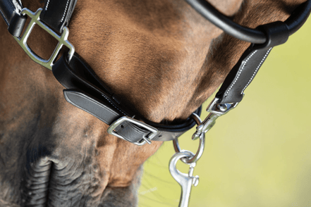 HFI Grooming Halster Lederen - Maddelin Equestrian HFI