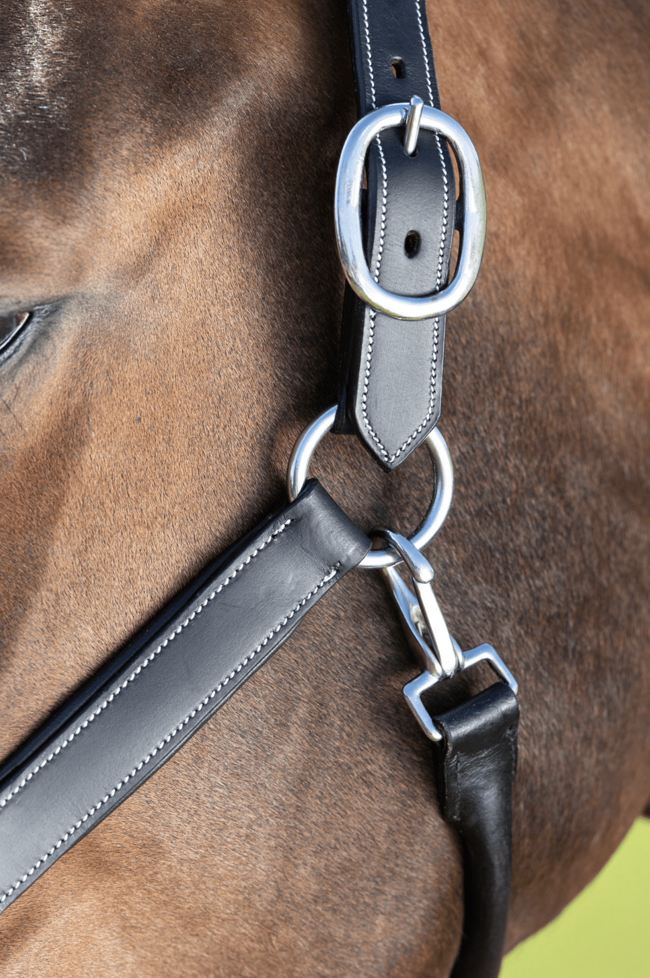 HFI Grooming Halster Lederen - Maddelin Equestrian HFI