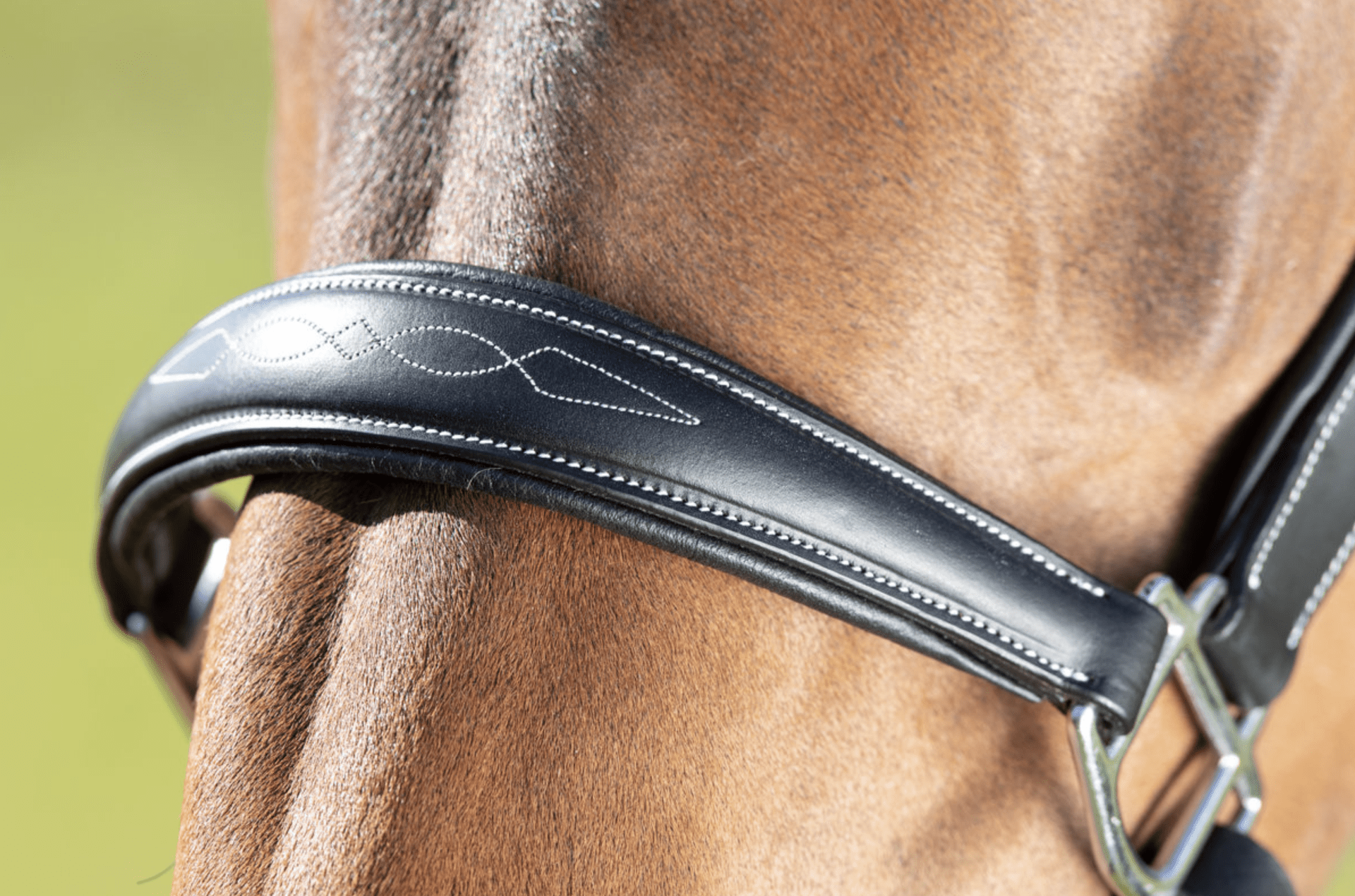 HFI Grooming Halster Lederen - Maddelin Equestrian HFI