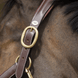 HFI Grooming Halster Lederen - Maddelin Equestrian HFI