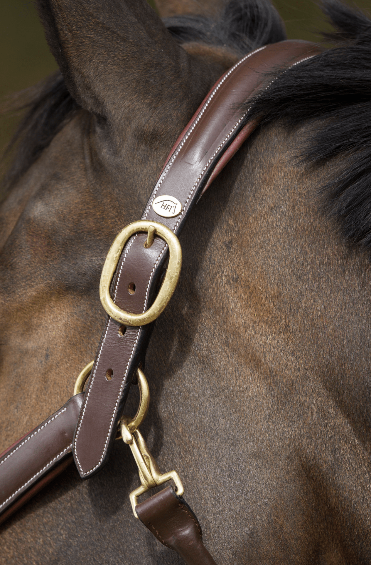 HFI Grooming Halster Lederen - Maddelin Equestrian HFI