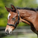 HFI Halster in leder Shetland/veulen Lederen - Maddelin Equestrian HFI