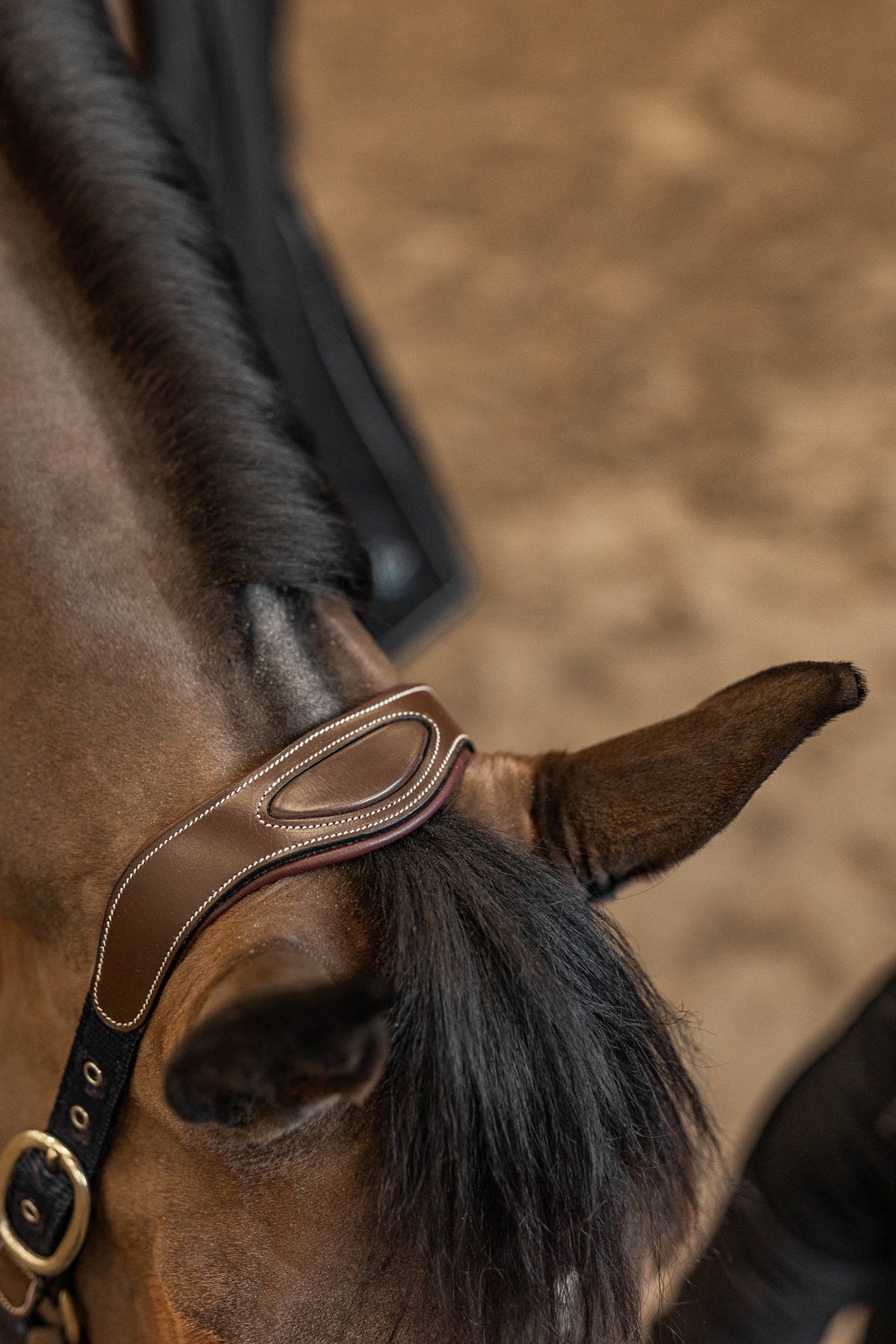 HFI Halster Mixed Lederen - Maddelin Equestrian HFI