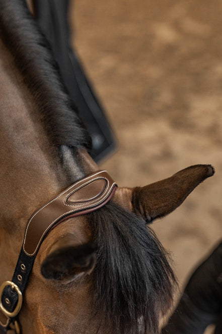 HFI Halster Mixed Lederen - Maddelin Equestrian HFI