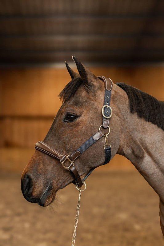 HFI Halster Mixed Lederen - Maddelin Equestrian HFI
