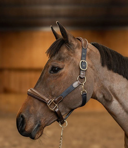 HFI Halster Mixed Lederen - Maddelin Equestrian HFI