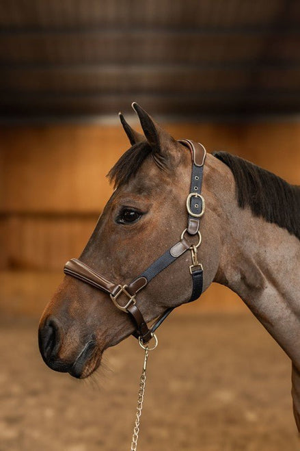 HFI Halster Mixed Lederen - Maddelin Equestrian HFI