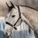 HFI Halster Mixed Lederen - Maddelin Equestrian HFI