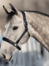 HFI Halster Mixed Lederen - Maddelin Equestrian HFI