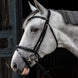 HFI Hoofdstel Merano Trenshoofdstellen - Maddelin Equestrian
