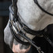 HFI Hoofdstel Merano Trenshoofdstellen - Maddelin Equestrian