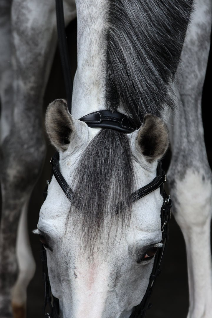 HFI Hoofdstel Merano Trenshoofdstellen - Maddelin Equestrian