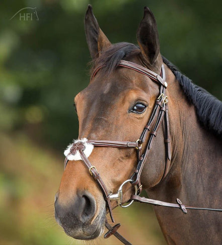 HFI Hoofdstel Mexican Trenshoofdstellen - Maddelin Equestrian HFI
