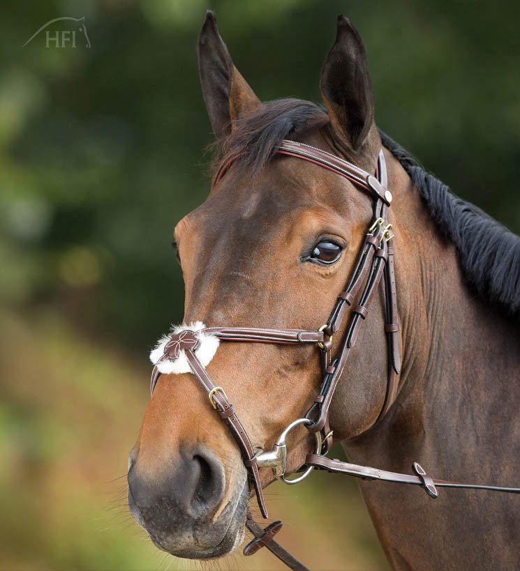 HFI Hoofdstel Mexican Trenshoofdstellen - Maddelin Equestrian HFI