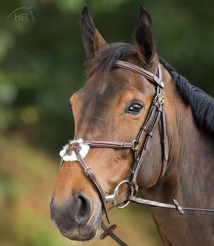 HFI Hoofdstel Mexican Trenshoofdstellen - Maddelin Equestrian HFI