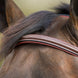 HFI Hoofdstel Mexican Trenshoofdstellen - Maddelin Equestrian HFI