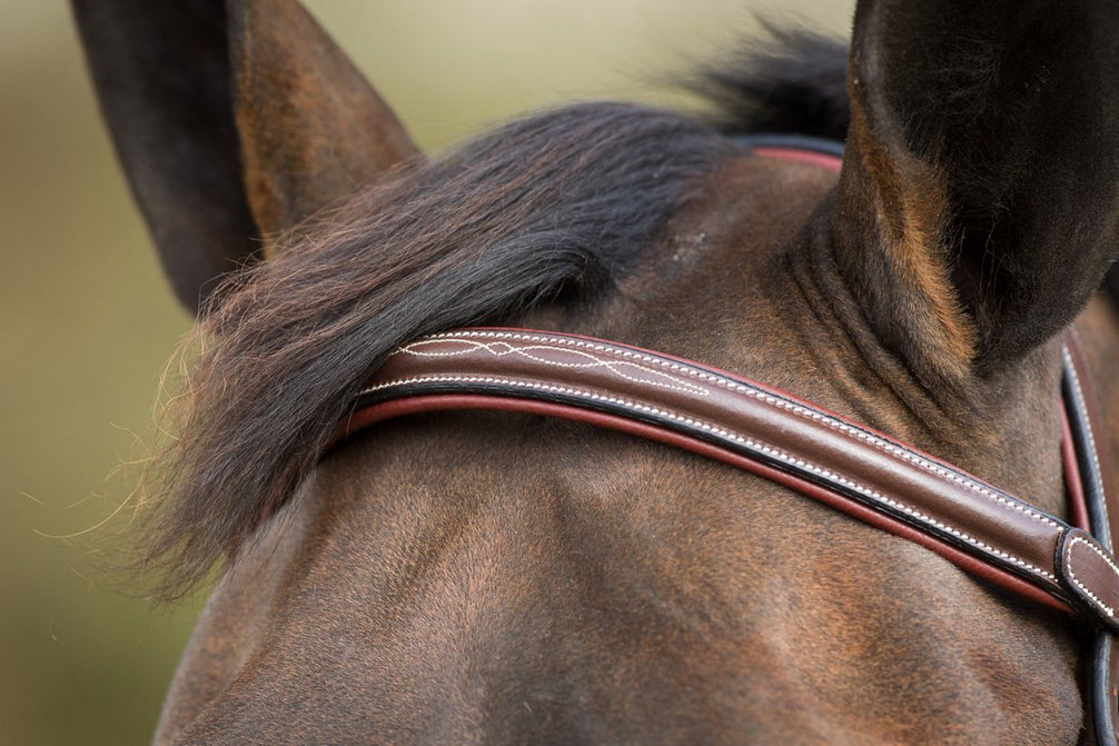 HFI Hoofdstel Mexican Trenshoofdstellen - Maddelin Equestrian HFI