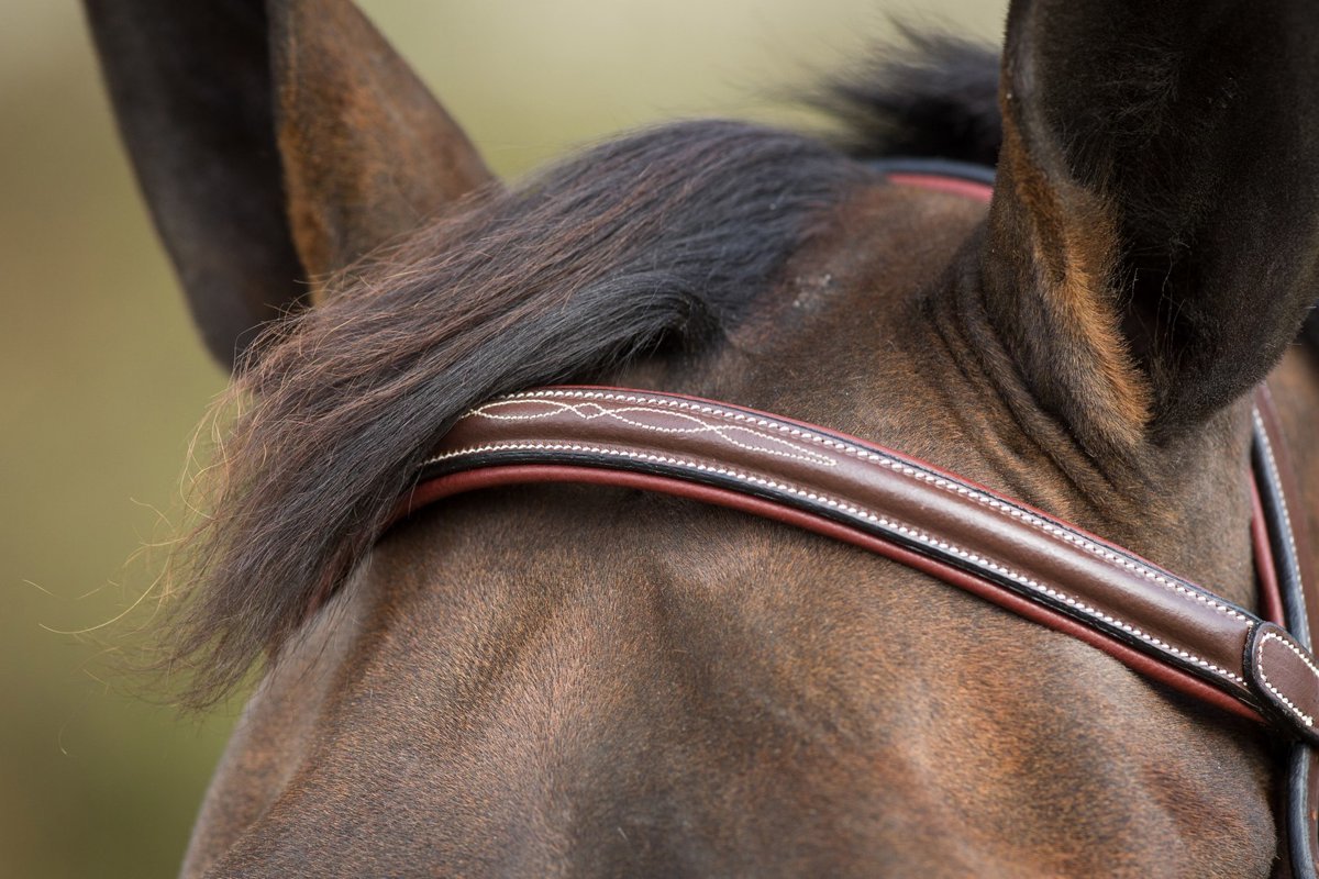 HFI Hoofdstel Mexican Trenshoofdstellen - Maddelin Equestrian HFI