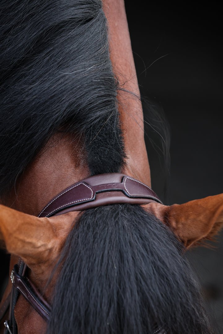 HFI Hoofdstel Monza Trenshoofdstellen - Maddelin Equestrian