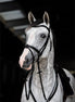 HFI Hoofdstel Monza Trenshoofdstellen - Maddelin Equestrian