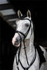 HFI Hoofdstel Monza Trenshoofdstellen - Maddelin Equestrian