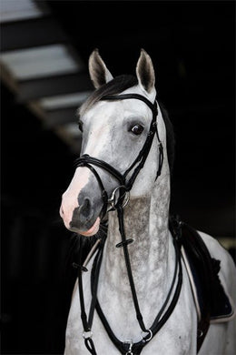 HFI Hoofdstel Monza Trenshoofdstellen - Maddelin Equestrian