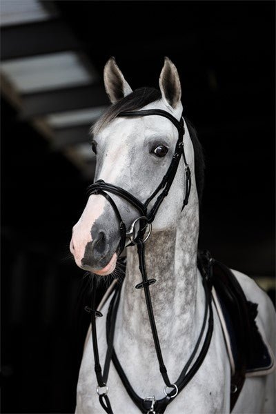 HFI Hoofdstel Monza Trenshoofdstellen - Maddelin Equestrian