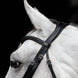 HFI Hoofdstel Monza Trenshoofdstellen - Maddelin Equestrian