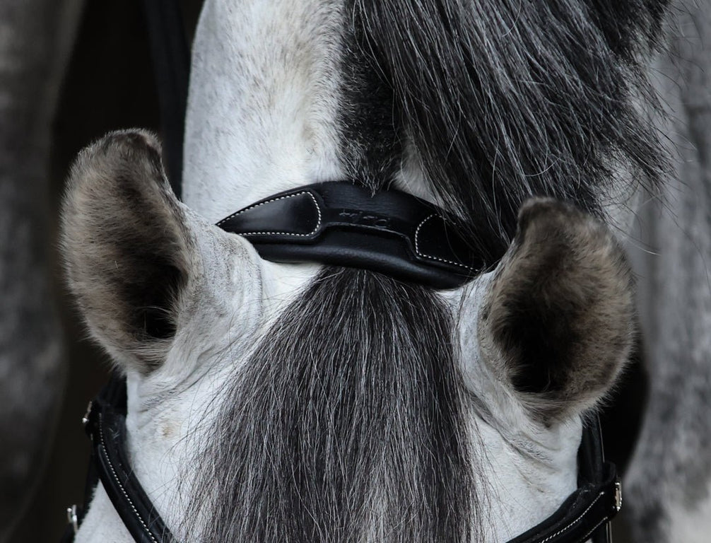 HFI Hoofdstel Monza Trenshoofdstellen - Maddelin Equestrian