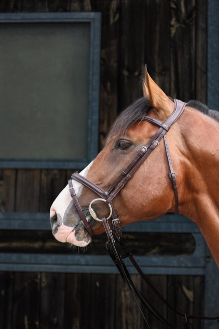 HFI Hoofdstel Monza Trenshoofdstellen - Maddelin Equestrian