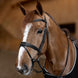 HFI Hoofdstel  Padded Trenshoofdstellen - Maddelin Equestrian HFI