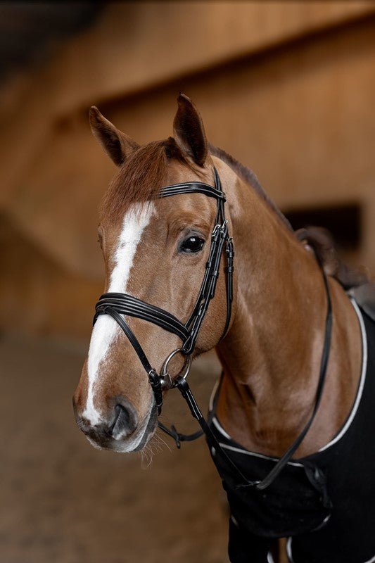 HFI Hoofdstel  Padded Trenshoofdstellen - Maddelin Equestrian HFI