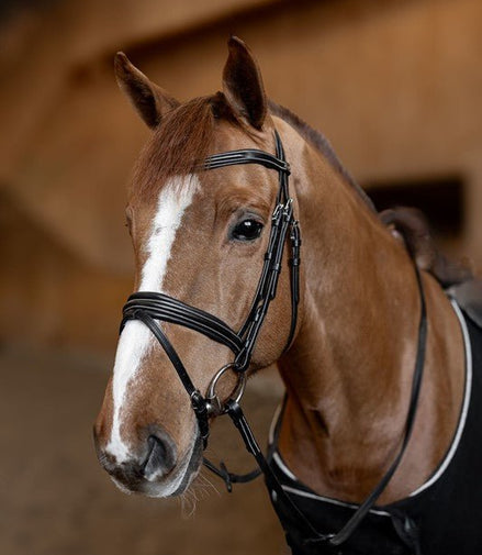 HFI Hoofdstel  Padded Trenshoofdstellen - Maddelin Equestrian HFI