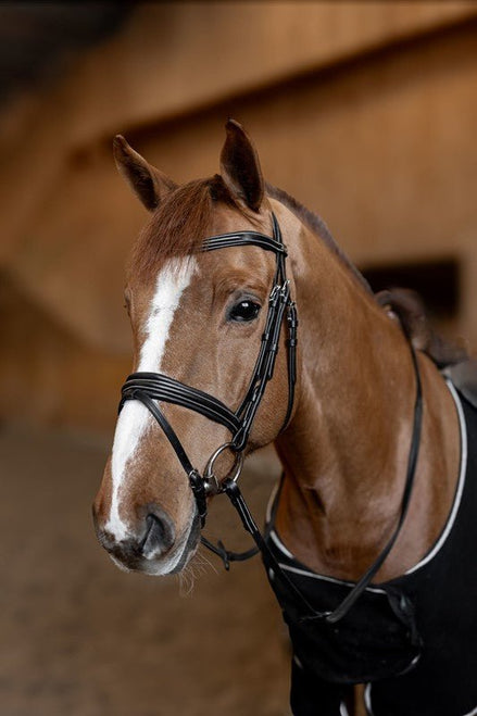 HFI Hoofdstel  Padded Trenshoofdstellen - Maddelin Equestrian HFI