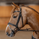 HFI Hoofdstel  Padded Trenshoofdstellen - Maddelin Equestrian HFI
