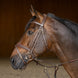 HFI Hoofdstel  Padded Trenshoofdstellen - Maddelin Equestrian HFI