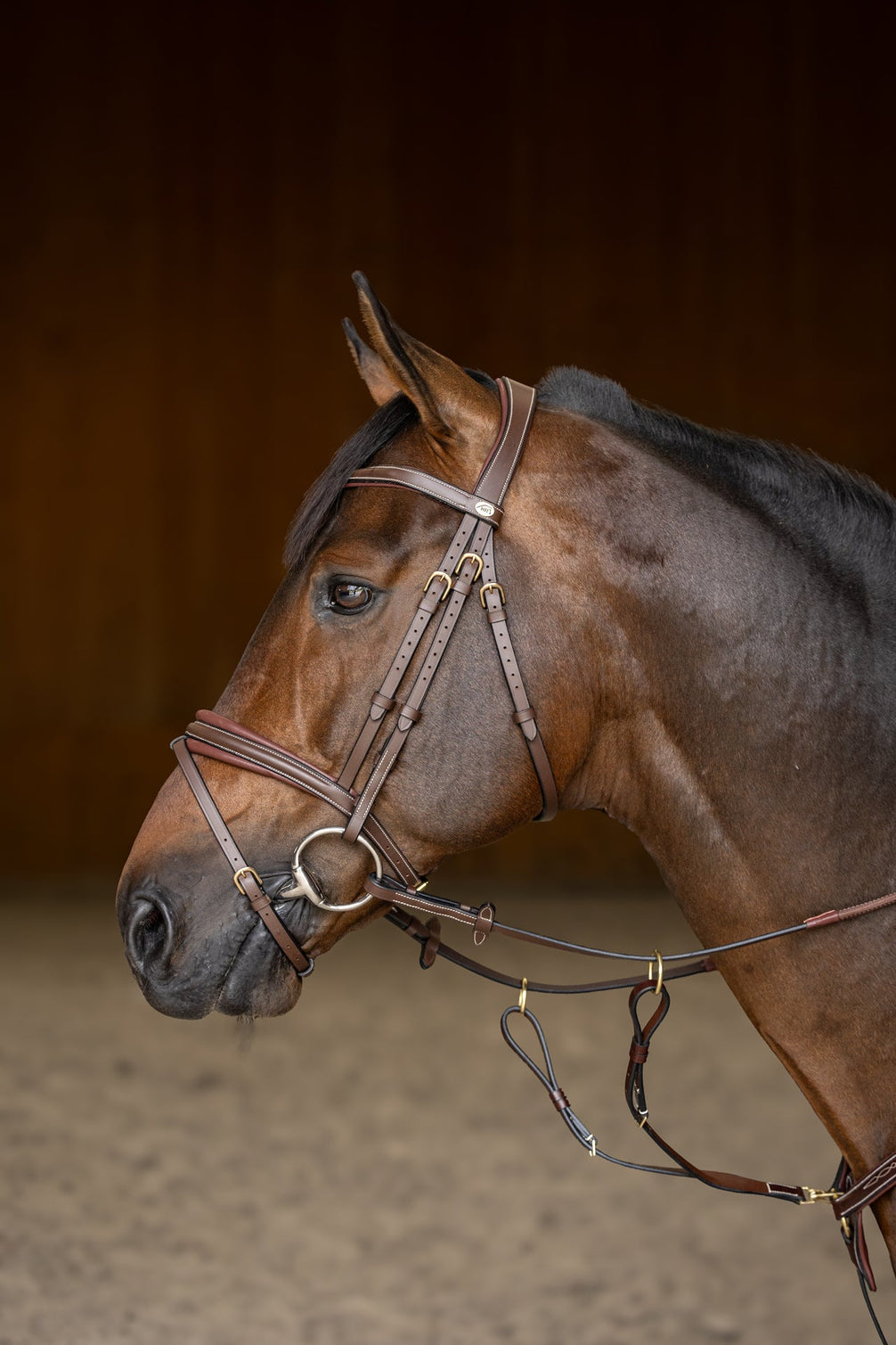 HFI Hoofdstel  Padded Trenshoofdstellen - Maddelin Equestrian HFI