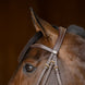 HFI Hoofdstel  Padded Trenshoofdstellen - Maddelin Equestrian HFI