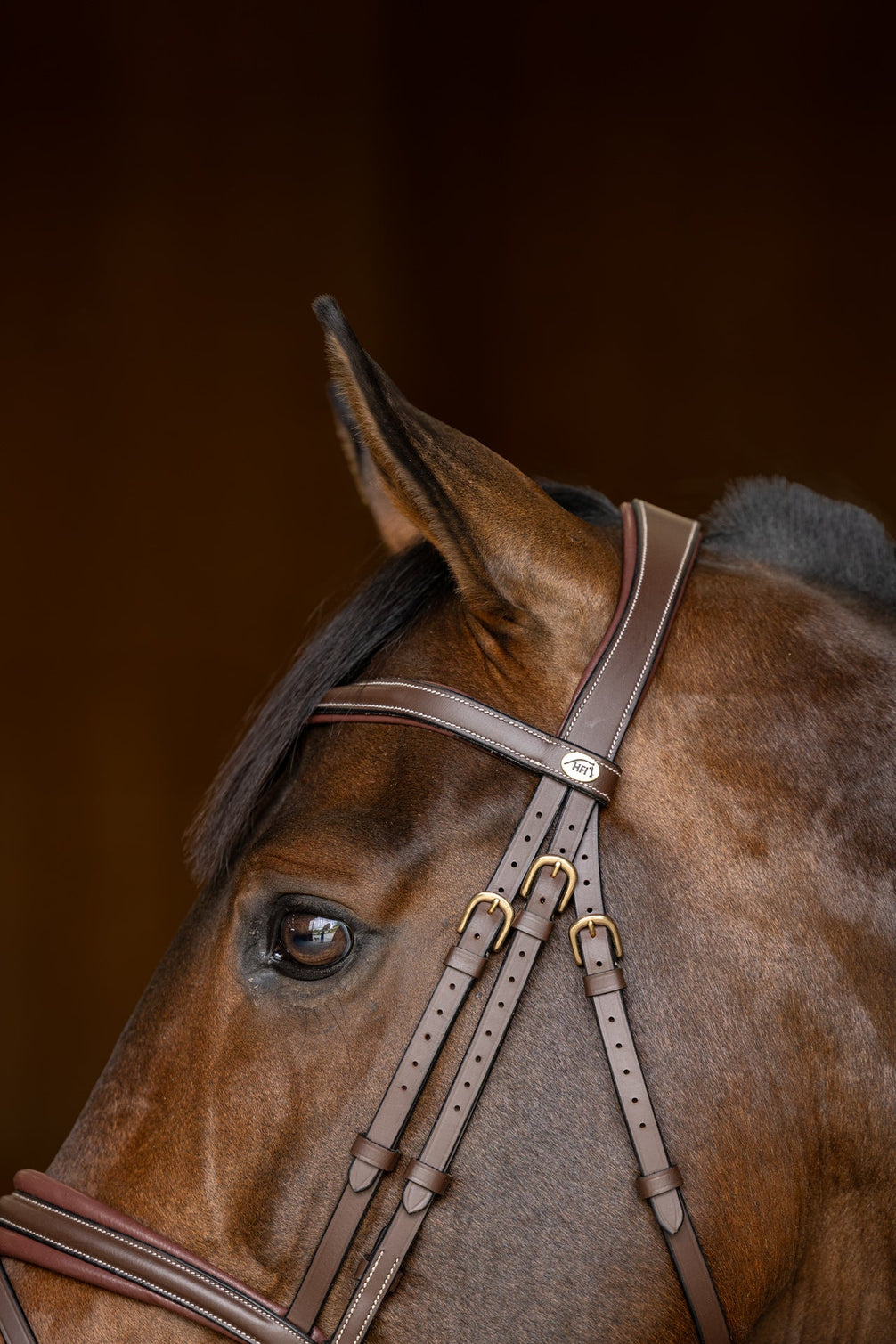 HFI Hoofdstel  Padded Trenshoofdstellen - Maddelin Equestrian HFI