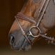 HFI Hoofdstel  Padded Trenshoofdstellen - Maddelin Equestrian HFI