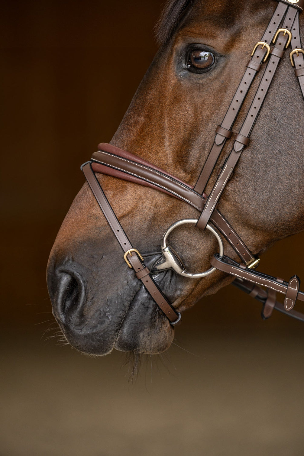 HFI Hoofdstel  Padded Trenshoofdstellen - Maddelin Equestrian HFI