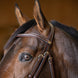 HFI Hoofdstel  Padded Trenshoofdstellen - Maddelin Equestrian HFI
