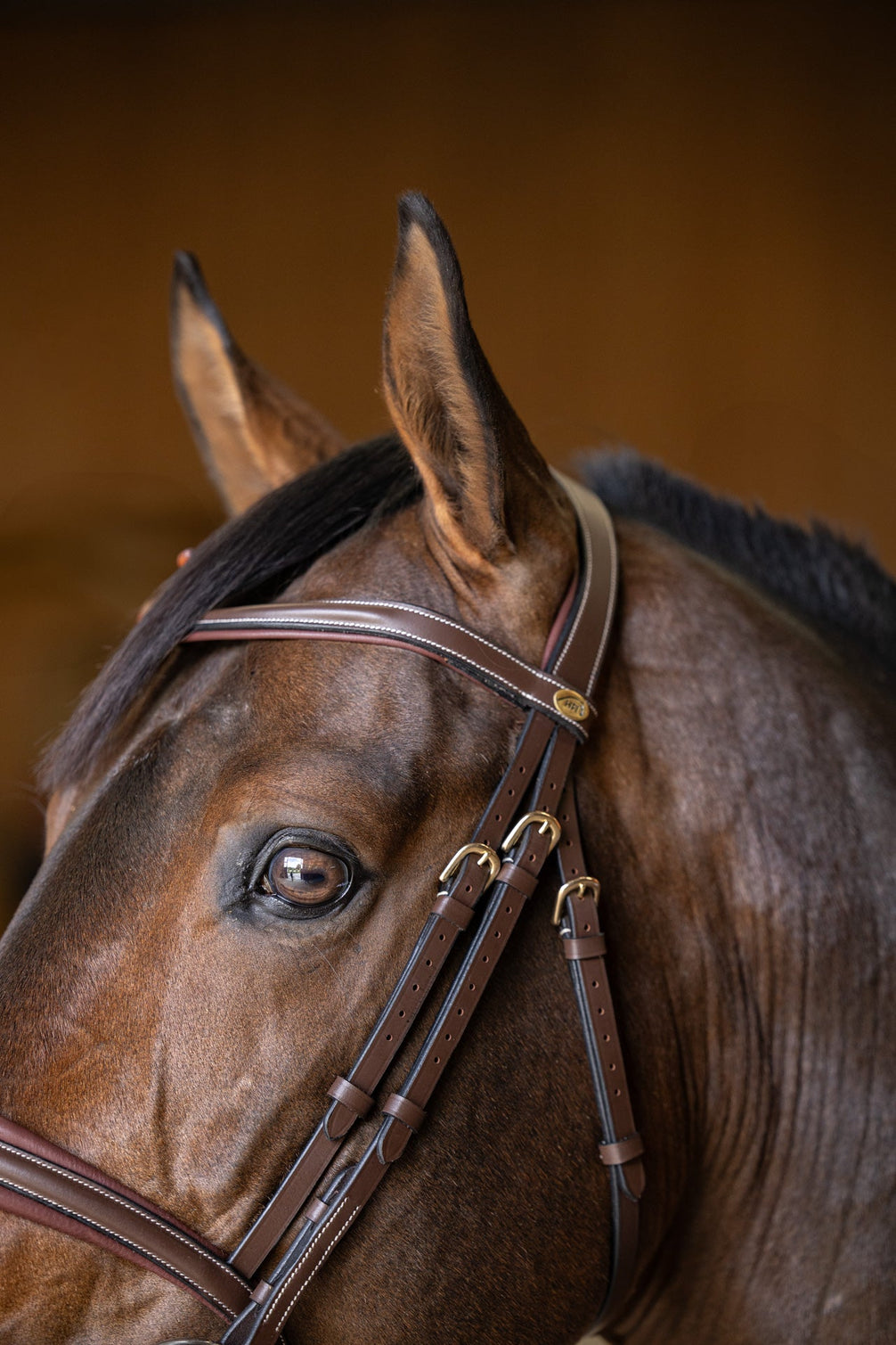 HFI Hoofdstel  Padded Trenshoofdstellen - Maddelin Equestrian HFI