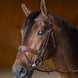 HFI Hoofdstel  Padded Trenshoofdstellen - Maddelin Equestrian HFI